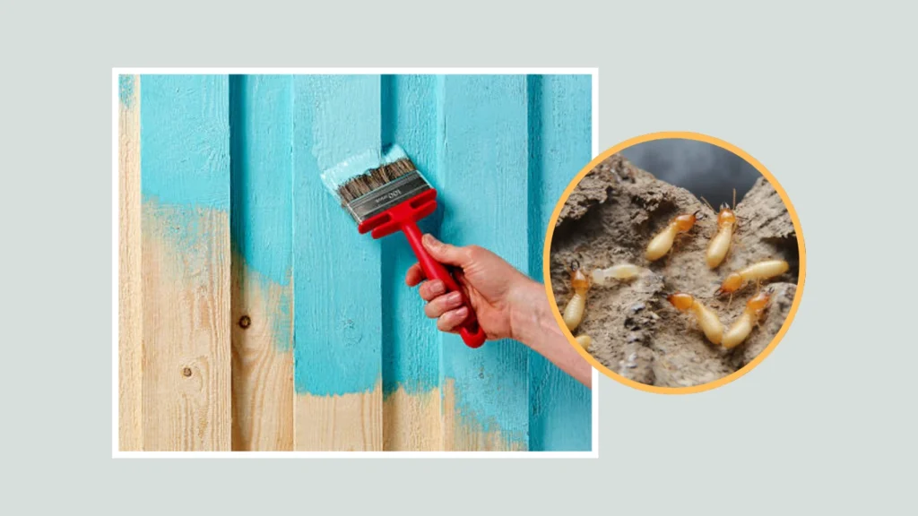 Do termites eat painted wood