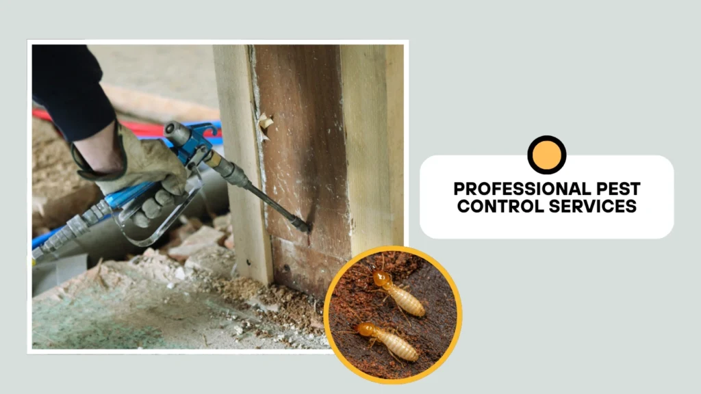 Professional Pest Control Services