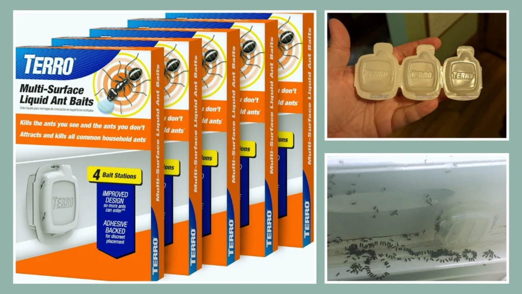 Terro T334B Liquid Ant Baits (Indoor Use)