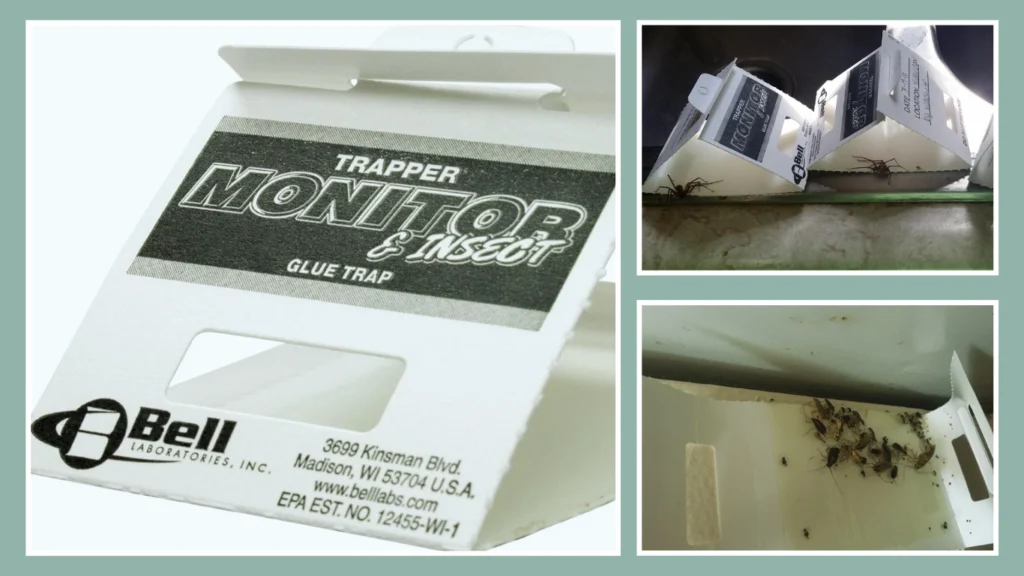 Trapper Insect Trap – Great for Bed Bugs and More