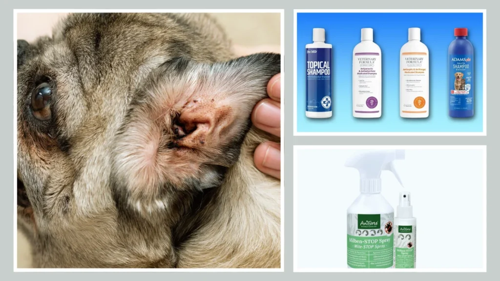 What Kills Mites on Dogs Instantly