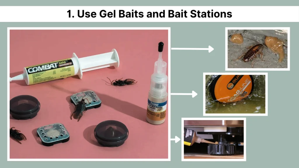 1. Use Gel Baits and Bait Stations
