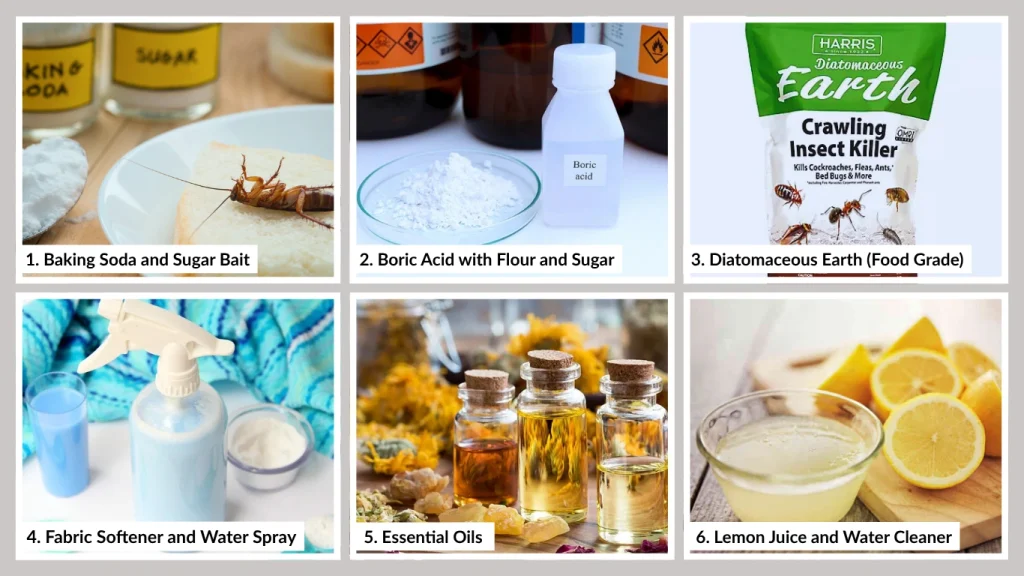 10 Effective Home Remedies to Kill Roaches