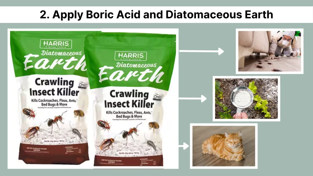 2. Apply Boric Acid and Diatomaceous Earth