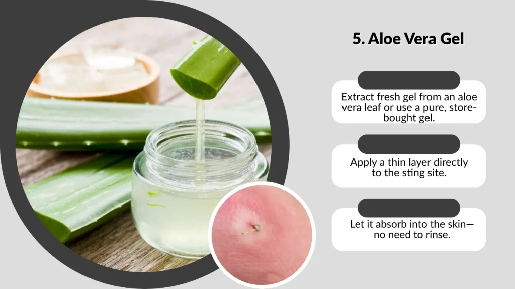 5. Aloe Vera Gel