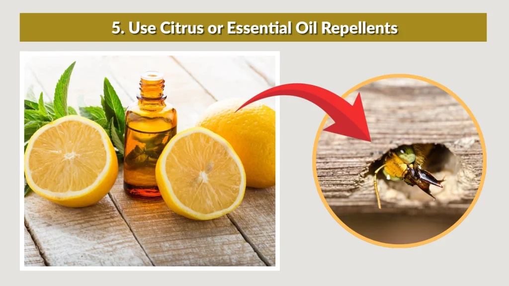 5. Use Citrus or Essential Oil Repellents