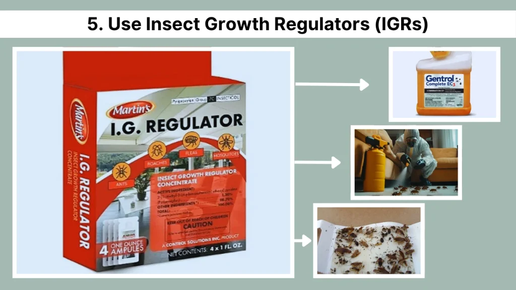 5. Use Insect Growth Regulators (IGRs)