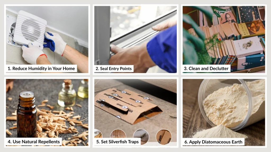 7 Effective Methods to Get Rid of Silverfish