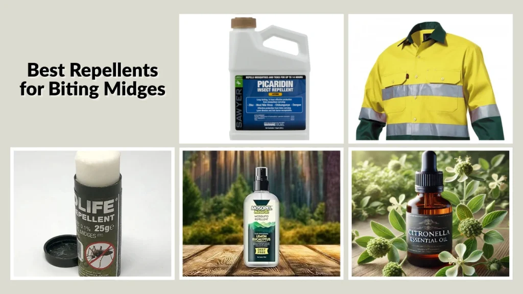 Biting Midges: Identification, Bites, Treatment, and Control