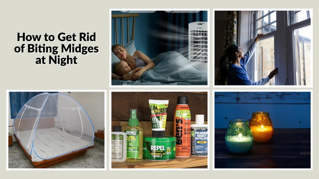 How to Get Rid of Biting Midges at Night