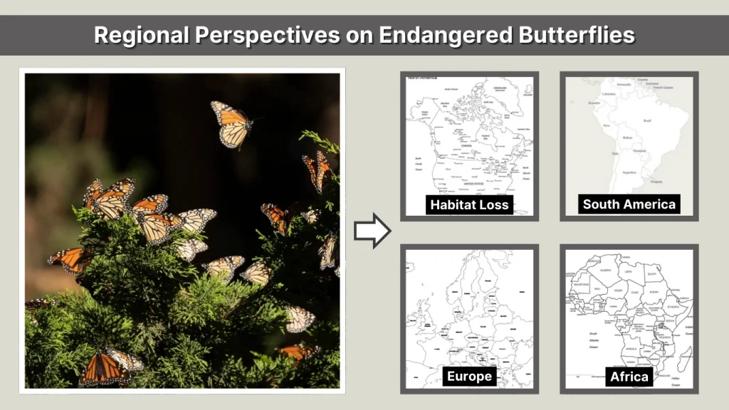 Regional Perspectives on Endangered Butterflies