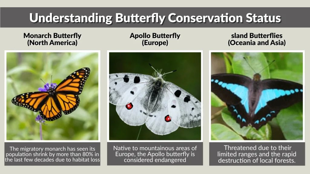 Understanding Butterfly Conservation Status