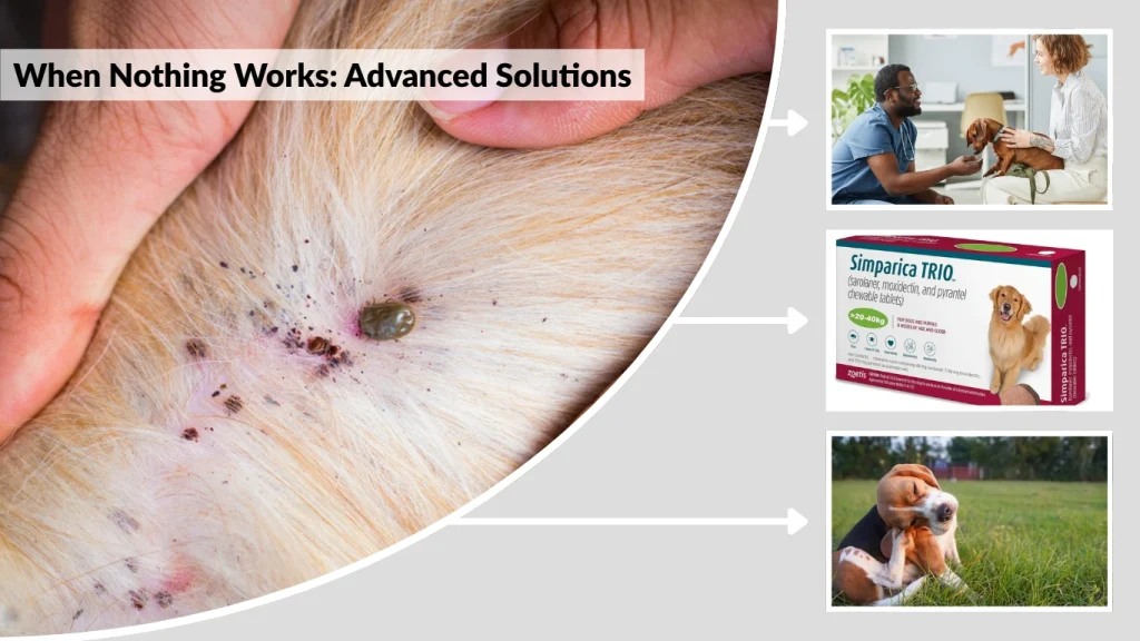 When Nothing Works Advanced Solutions