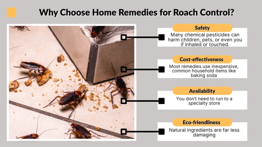 Why Choose Home Remedies for Roach Control