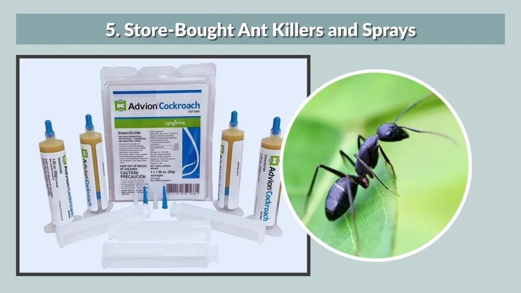 5. Store-Bought Ant Killers and Sprays