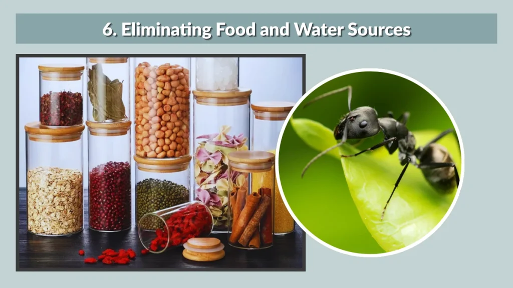 6. Eliminating Food and Water Sources
