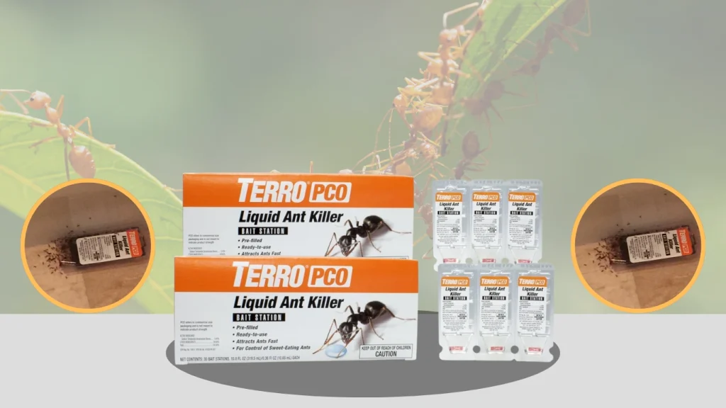 Ant Killer – Household Ant Extermination