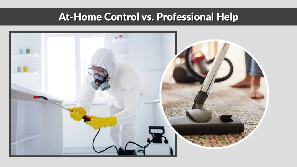 At-Home Control vs. Professional Help