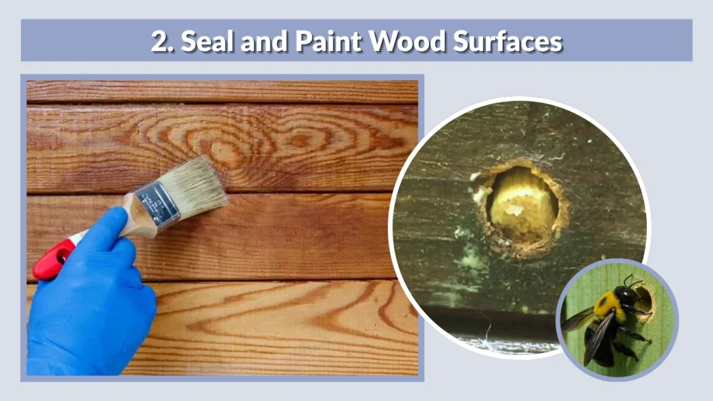 2. Seal and Paint Wood Surfaces