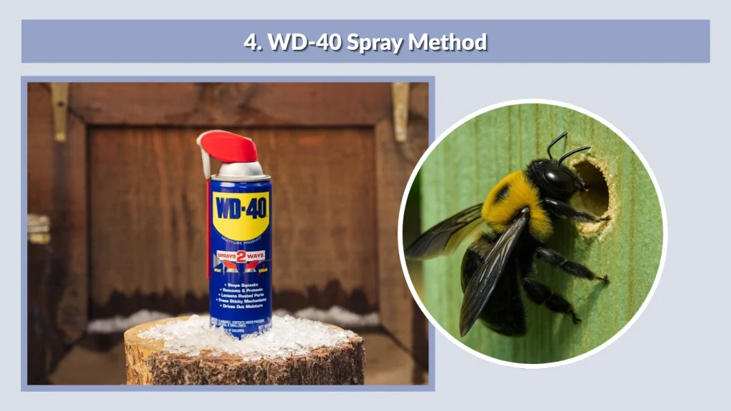 4. WD-40 Spray Method