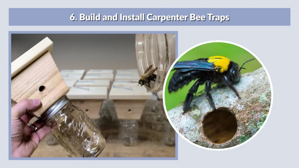 6. Build and Install Carpenter Bee Traps