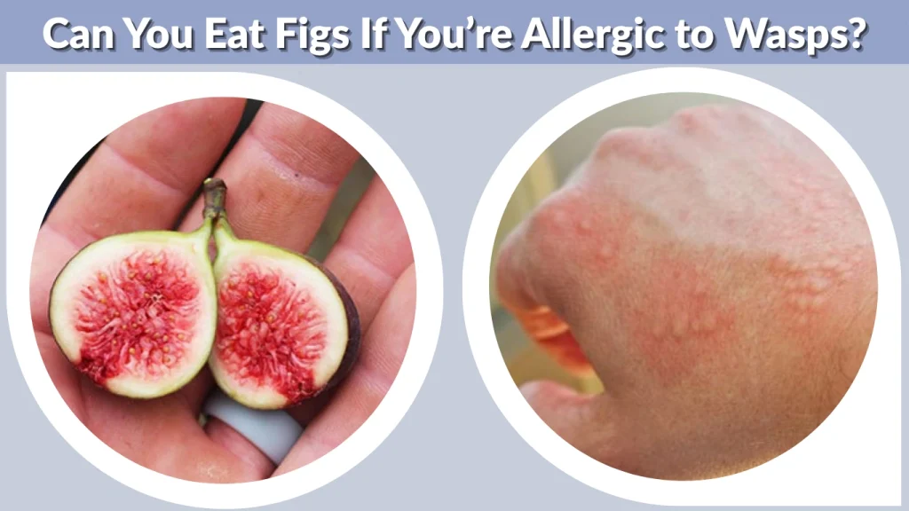 Can You Eat Figs If You’re Allergic to Wasps