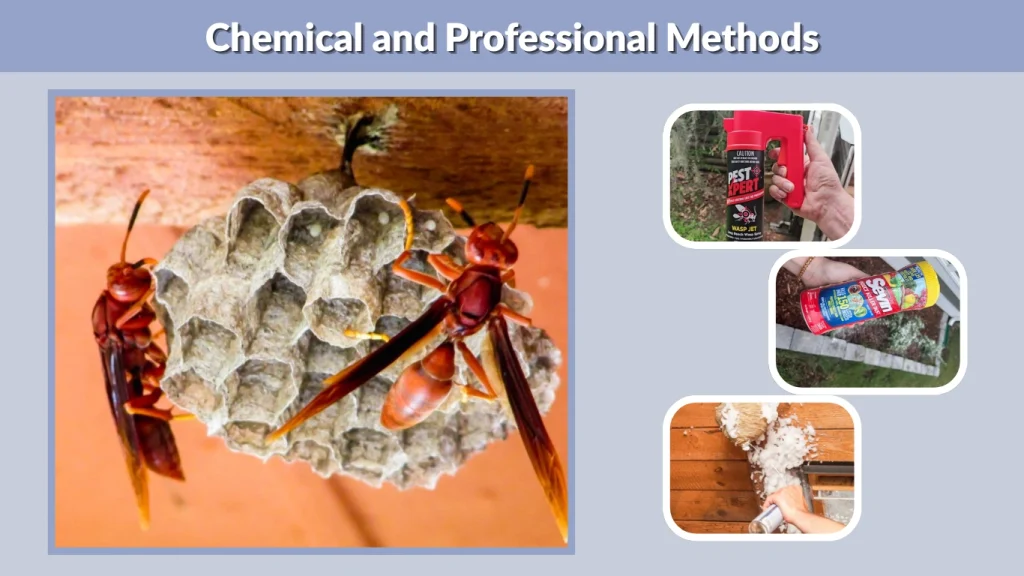 Chemical and Professional Methods