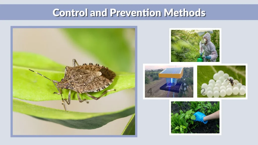 Control and Prevention Methods