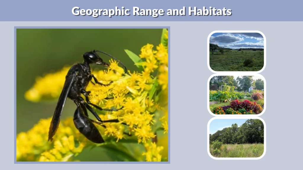 Geographic Range and Habitats