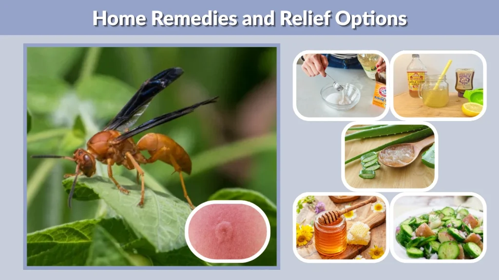 Home Remedies and Relief Options