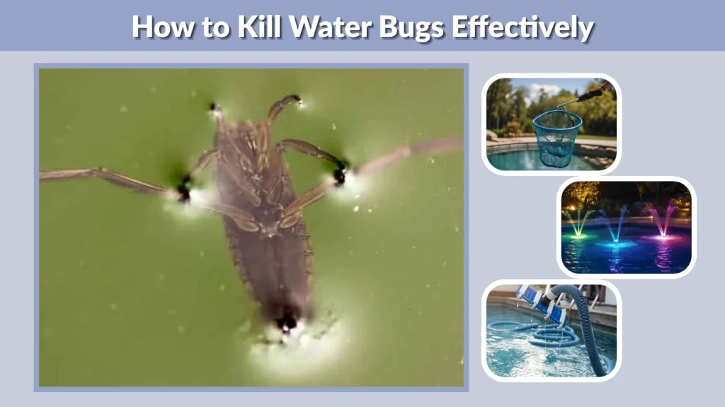 How to Kill Water Bugs Effectively