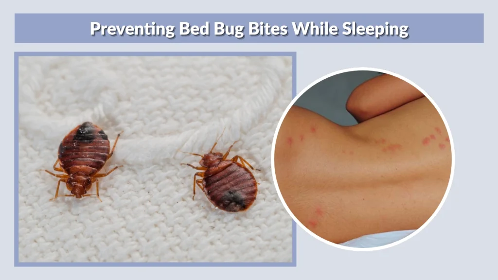 Preventing Bed Bug Bites While Sleeping