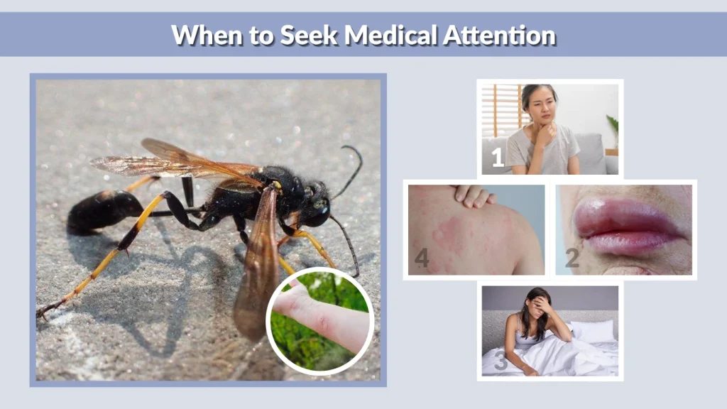 When to Seek Medical Attention