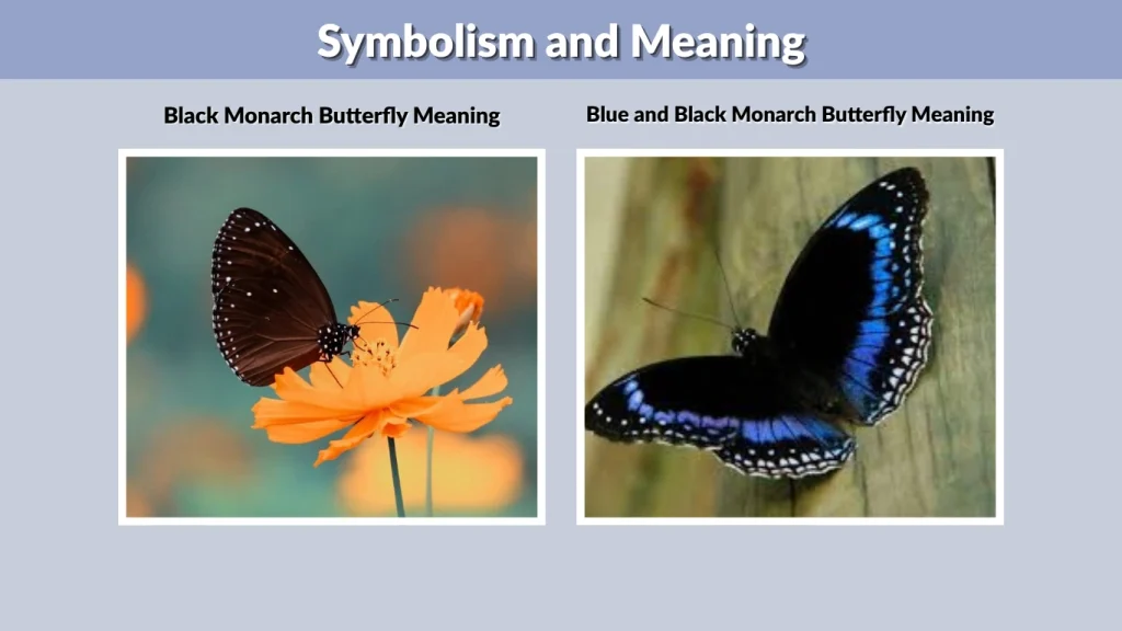Symbolism and Meaning