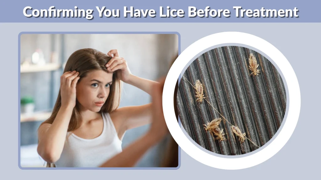 Confirming You Have Lice Before Treatment
