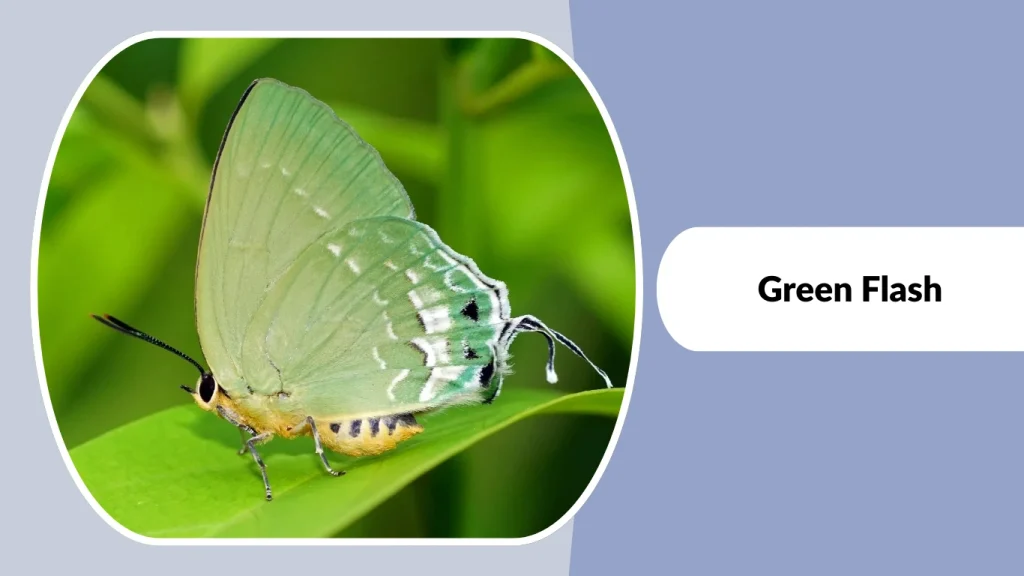 Green Flash