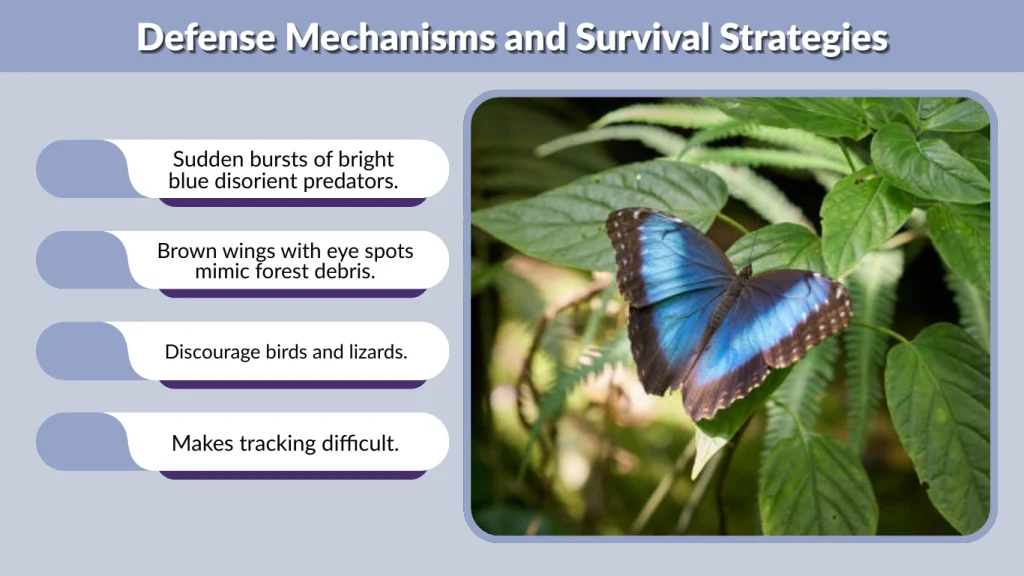 Defense Mechanisms and Survival Strategies