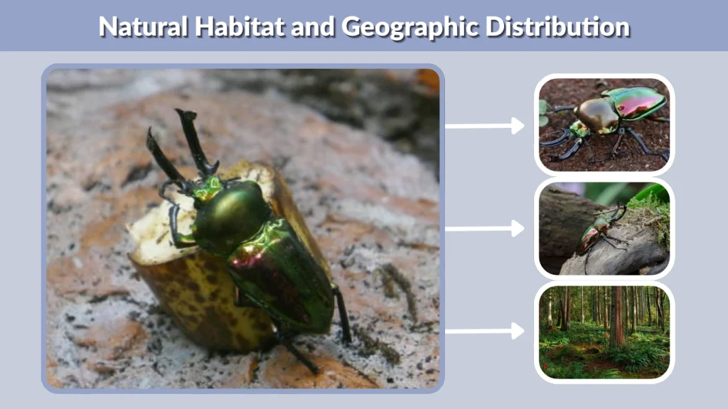 Natural Habitat and Geographic Distribution