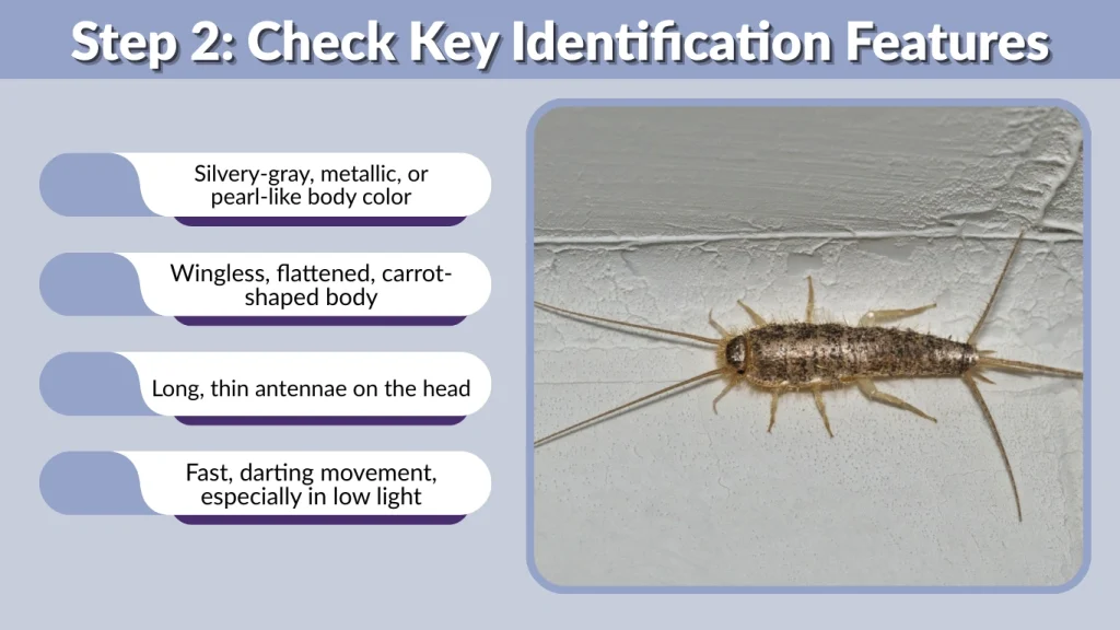 Step 2 Check Key Identification Features