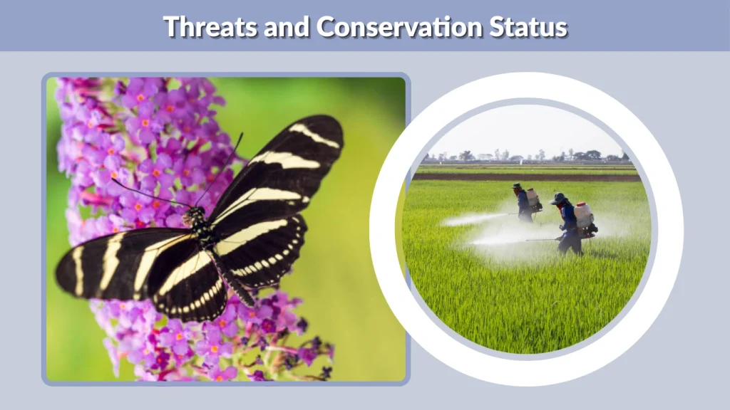 Threats and Conservation Status