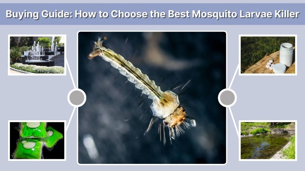 Buying Guide: How to Choose the Best Mosquito Larvae Killer