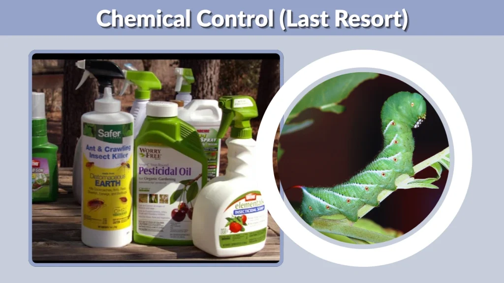 Chemical Control (Last Resort)
