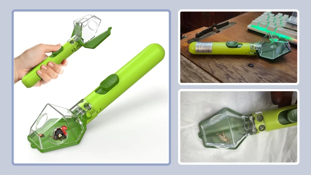 Bug Catcher with Magnifier Glass for Kids