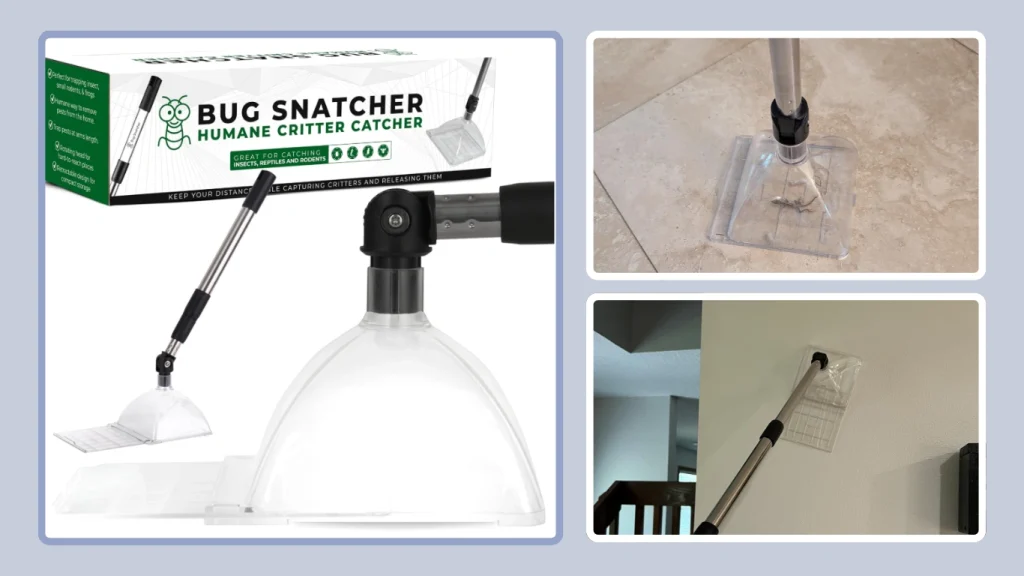 Bug Catching Container with Extendable Handle