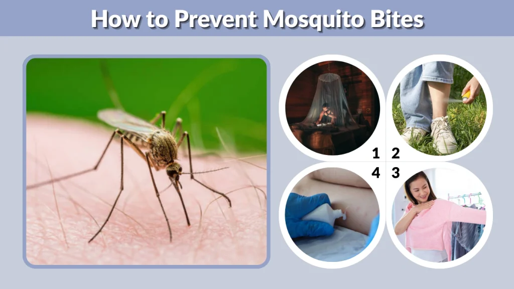 How to Prevent Mosquito Bites