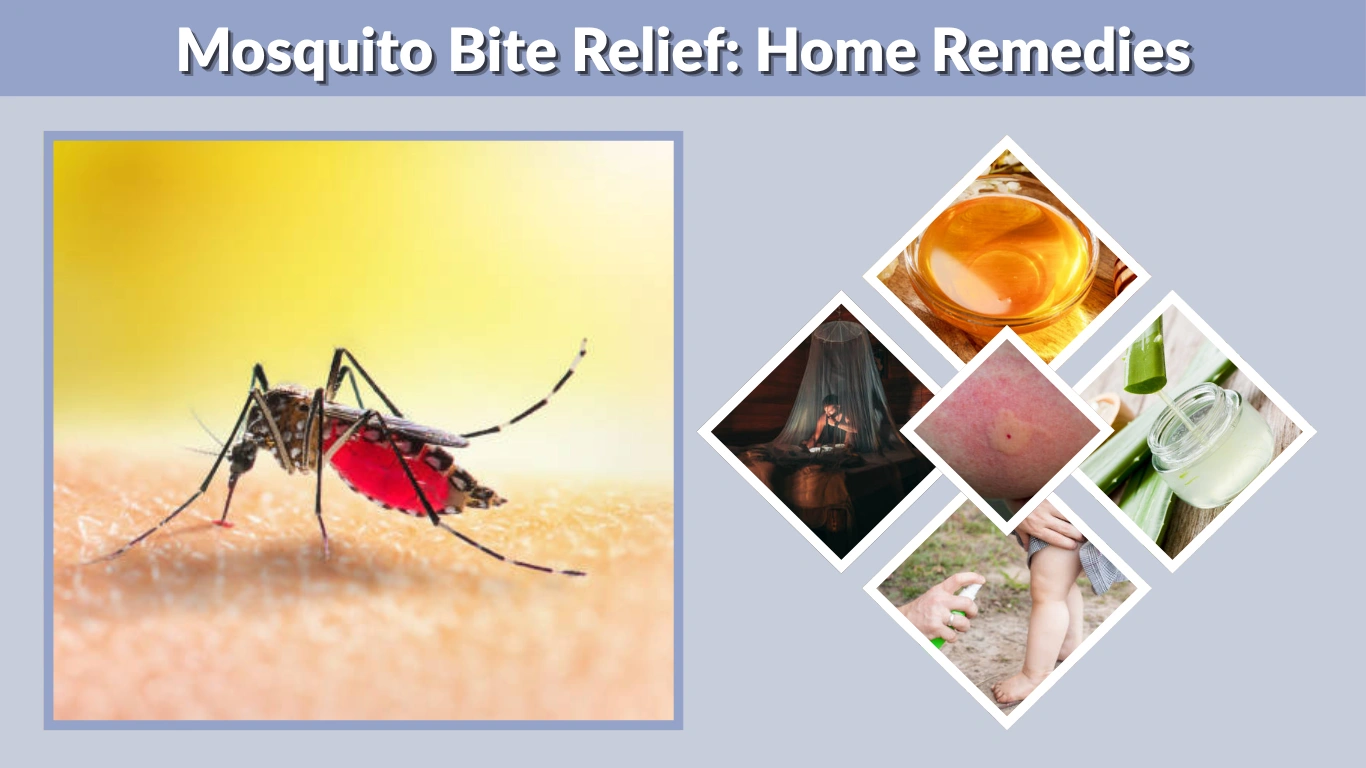 Mosquito Bite Relief Home Remedies and Quick Fixes