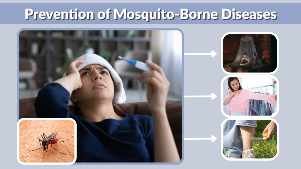 Prevention of Mosquito-Borne Diseases