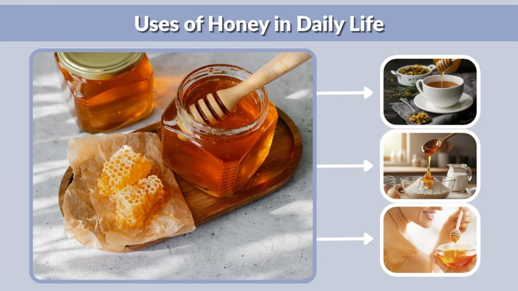 Uses of Honey in Daily Life