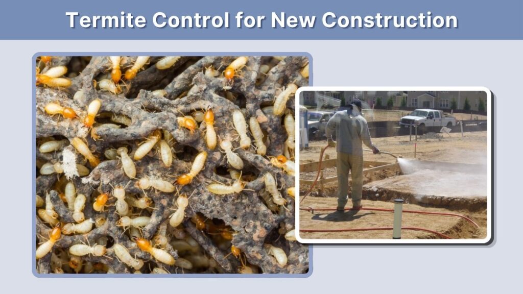 Termite Control for New Construction