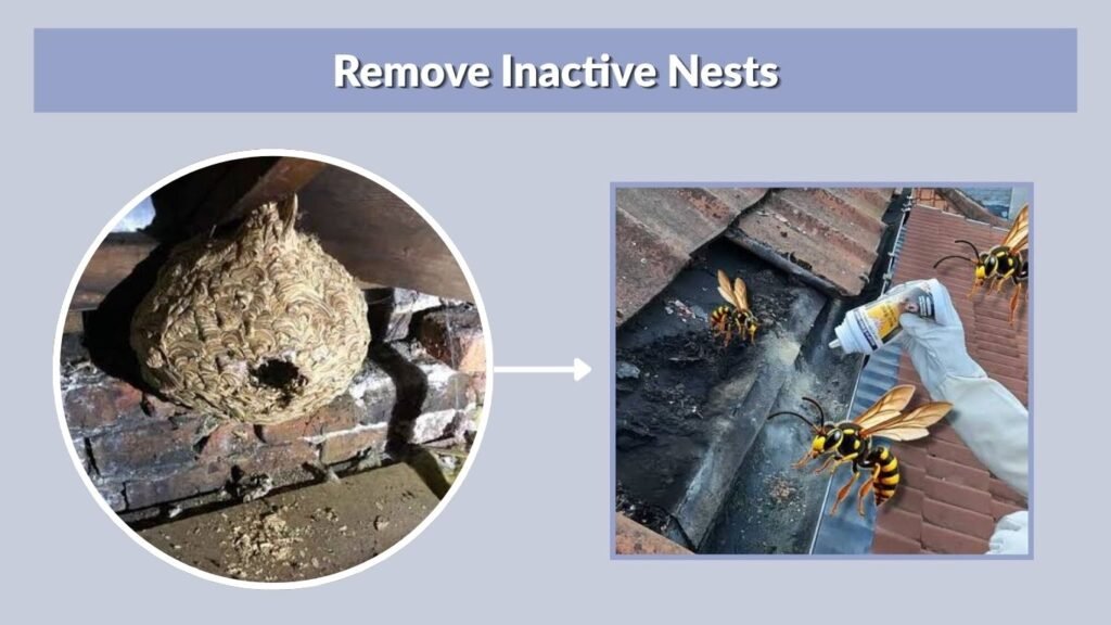 Remove Inactive Nests